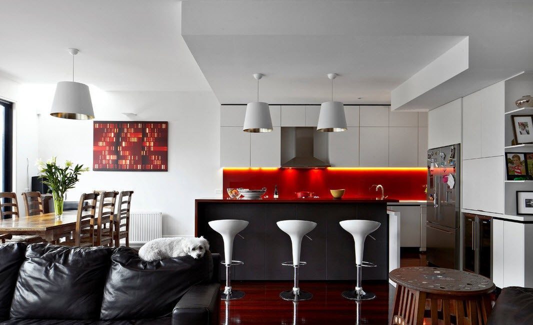 kitchen living room in a private house