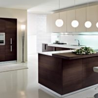 kitchen wenge design ideas