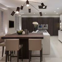 kitchen wenge photo design