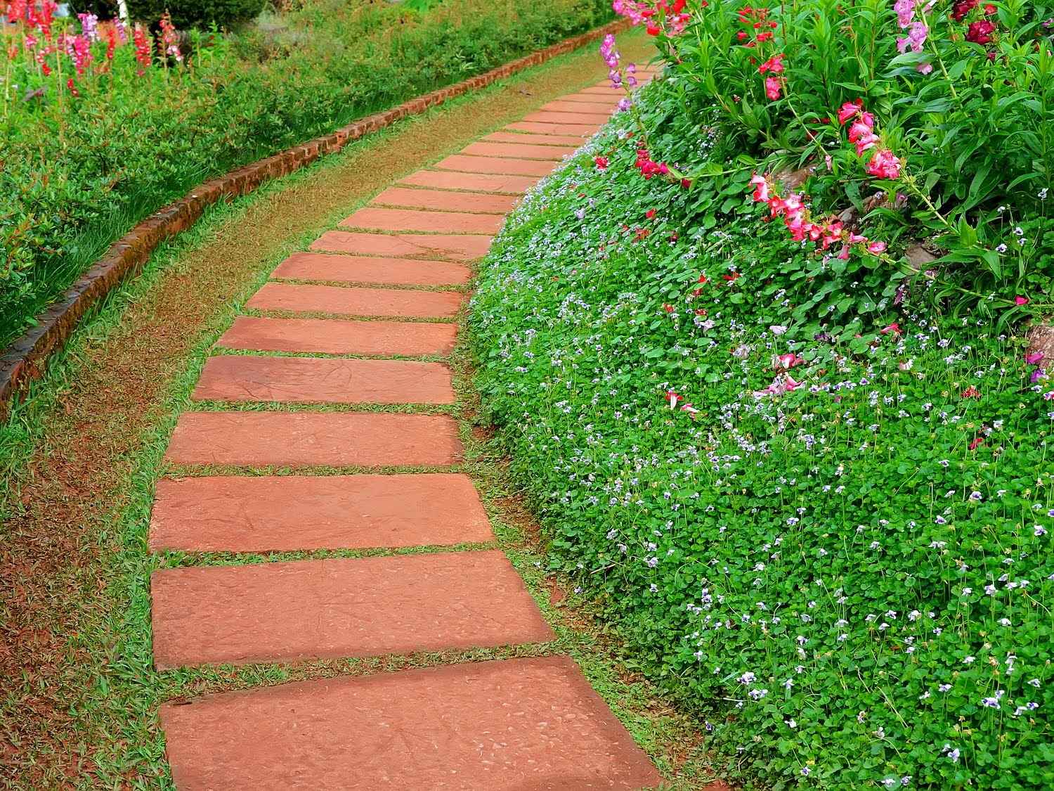 the option of using bright garden paths in the design of the yard