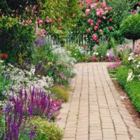 example of the use of light garden paths in landscape design picture