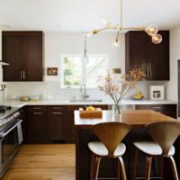 modern wenge kitchen