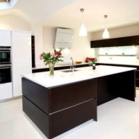 stylish wenge kitchen