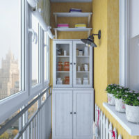 wardrobe and shelves on the balcony