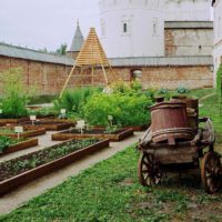 An example of a bright decor of a garden in a private courtyard