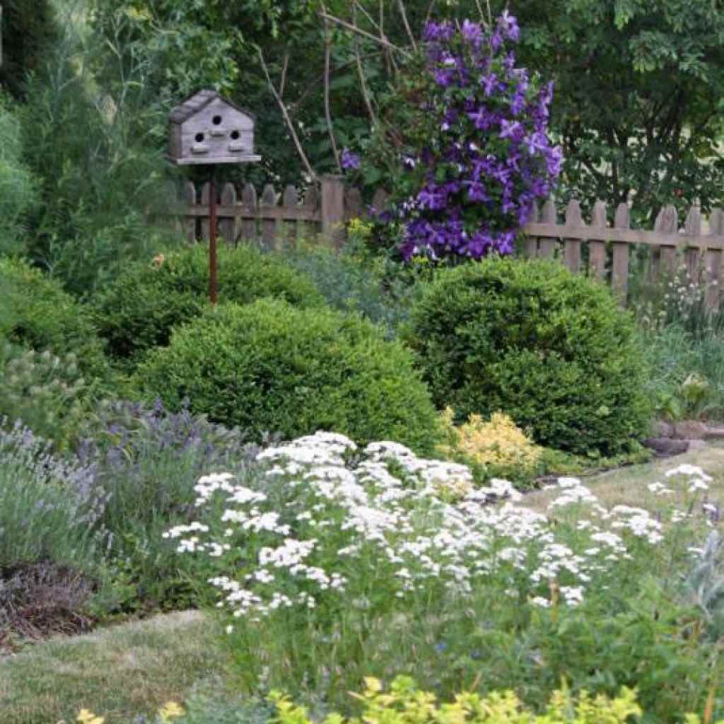 an example of a beautiful decor of the front garden in the country