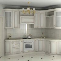 an example of an unusual decor of the kitchen in a classic style picture