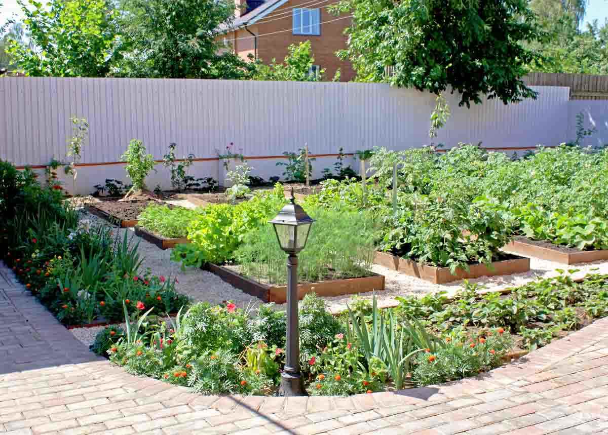 version of a beautiful garden design in a private courtyard