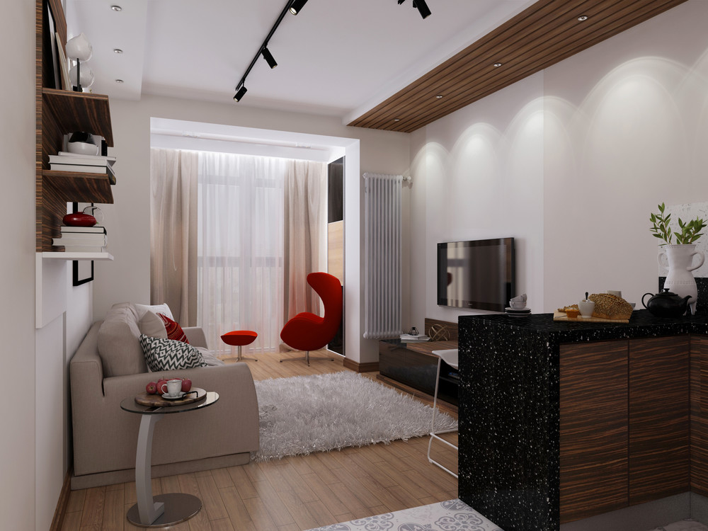 apartment design 30 sq m