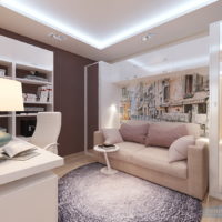 living room bedroom in a studio apartment 45 m2 ideas