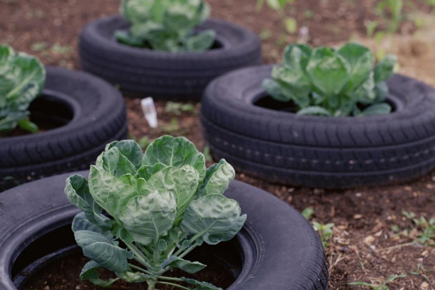 beds in the country of tires