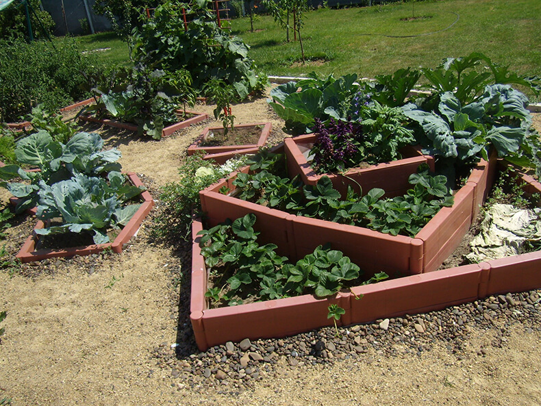 multi-tier beds in the country