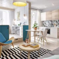 studio apartment 30 sq m design interior