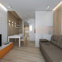 studio apartment 30 sq m small