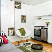 Studio apartment 30 sq m project