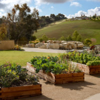 garden with beds photo