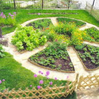 garden with beds photo design