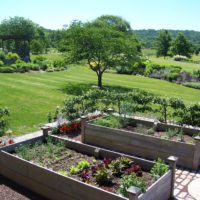 garden with garden beds design ideas