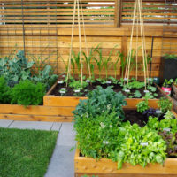 garden with beds at the cottage design