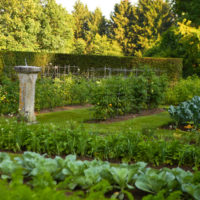 garden with beds at the cottage photo