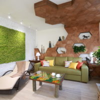 eco style ceiling design