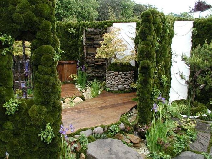 landscape design ideas