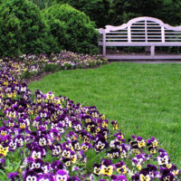 garden plot 4 acres of subtlety landscape design design ideas