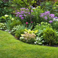 garden plot 4 hundred parts of the subtleties of landscape design design ideas