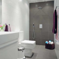 bathroom 4 sq m design