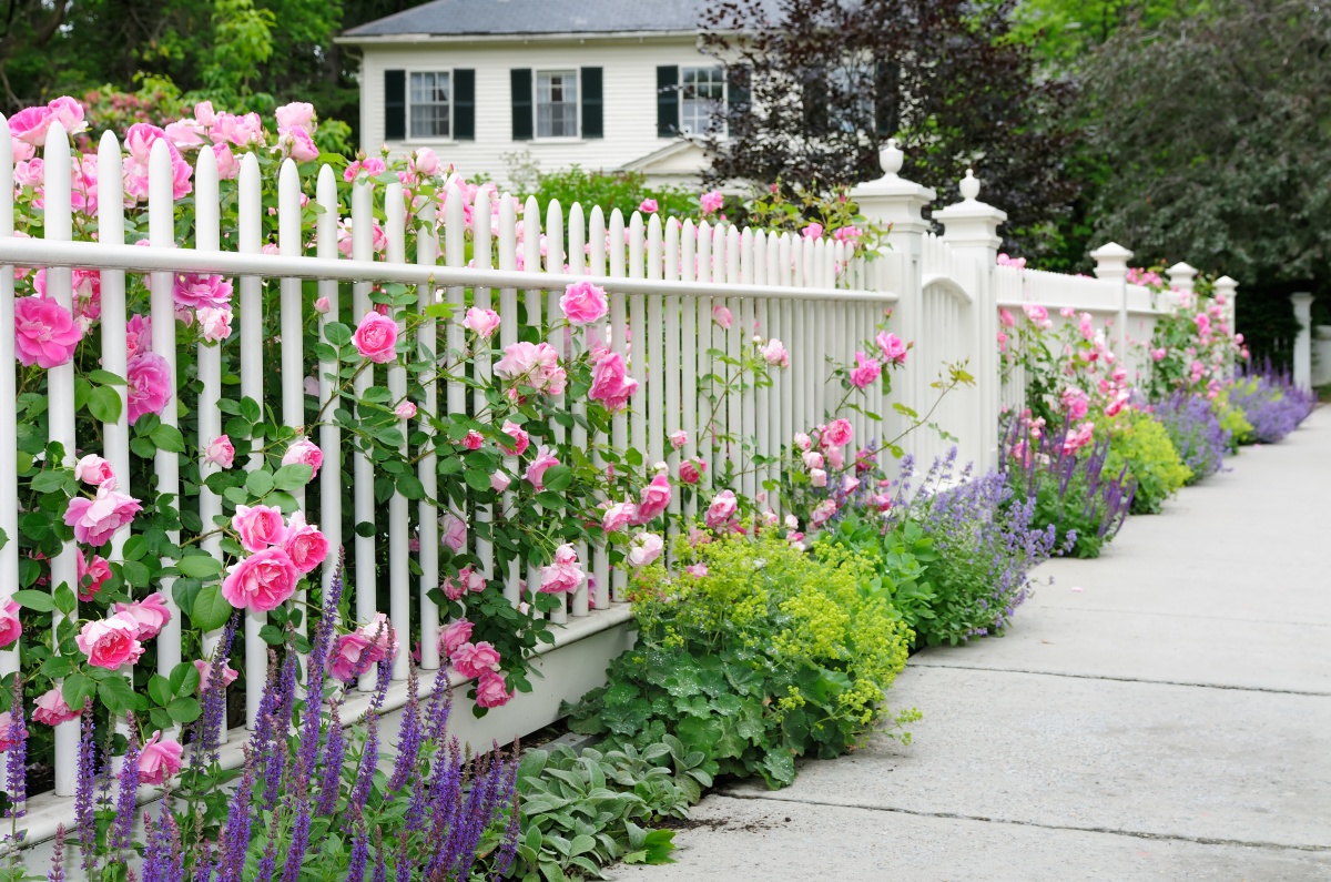 flower fence