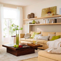 Long shelves in the living room above the sofa