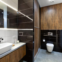 Shared bathroom in dark colors