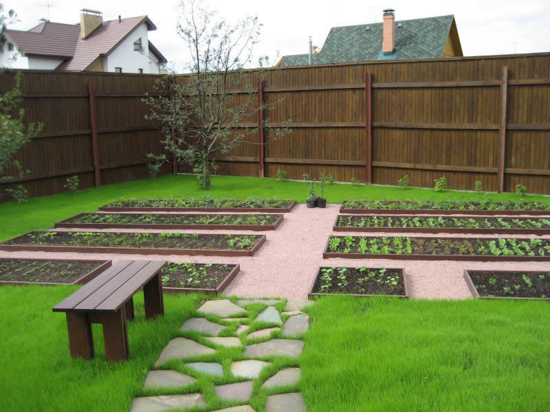 Photo of neat garden beds in a small garden