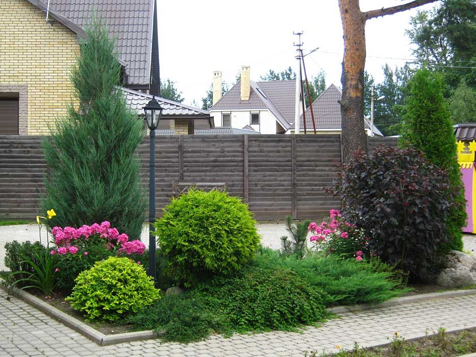 Flowerbed in the garden of conifers