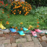 Garden flowers in old galoshes