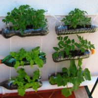 Hanging flower pots from plastic bottles