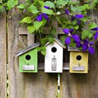 Birdhouses على سياج خشبي