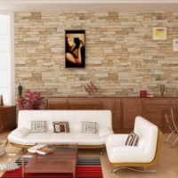 Natural stone in the design of the living room