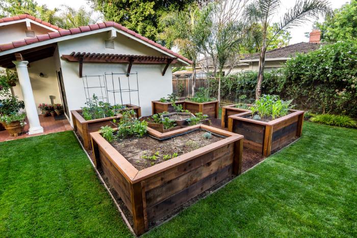 Garden beds on raised flower beds made of wood