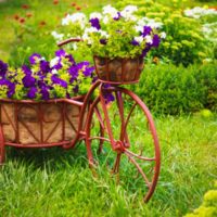 Flowers from an old bike