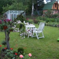 Garden chairs on a green lawn