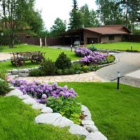 Flowerbeds with lilac flowers