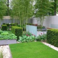 Hedgerows and bamboo in the garden