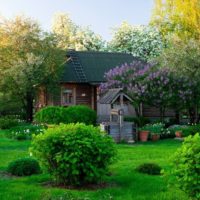 Garden with an old well