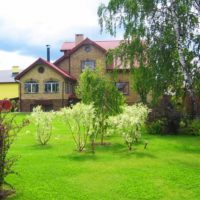 Bushes of sod and birch in the garden landscape