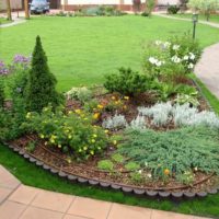 Flowerbed with conifers at the junction of paths