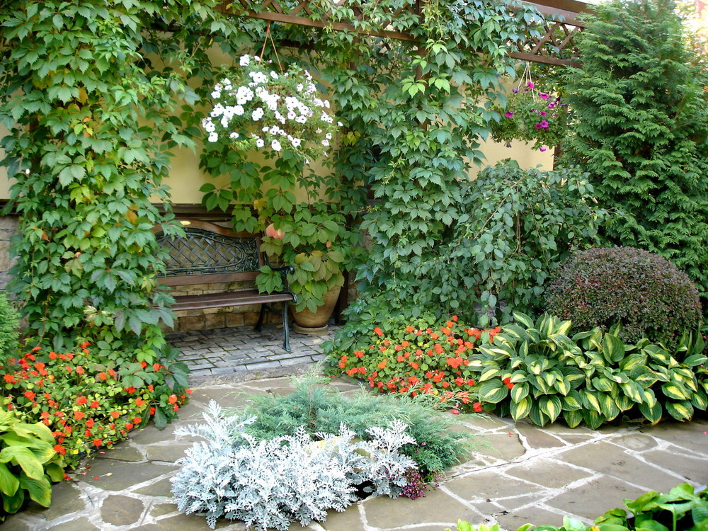 A place of rest in the garden among the abundance of plants