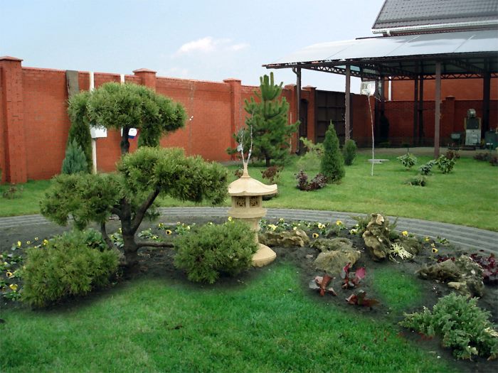 A corner of a young garden on a plot of 15 acres