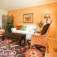 option to combine bright peach color in the interior of the apartment picture