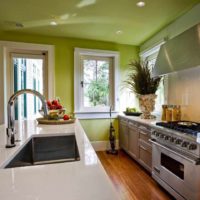 example of a bright design of the ceiling in the kitchen photo